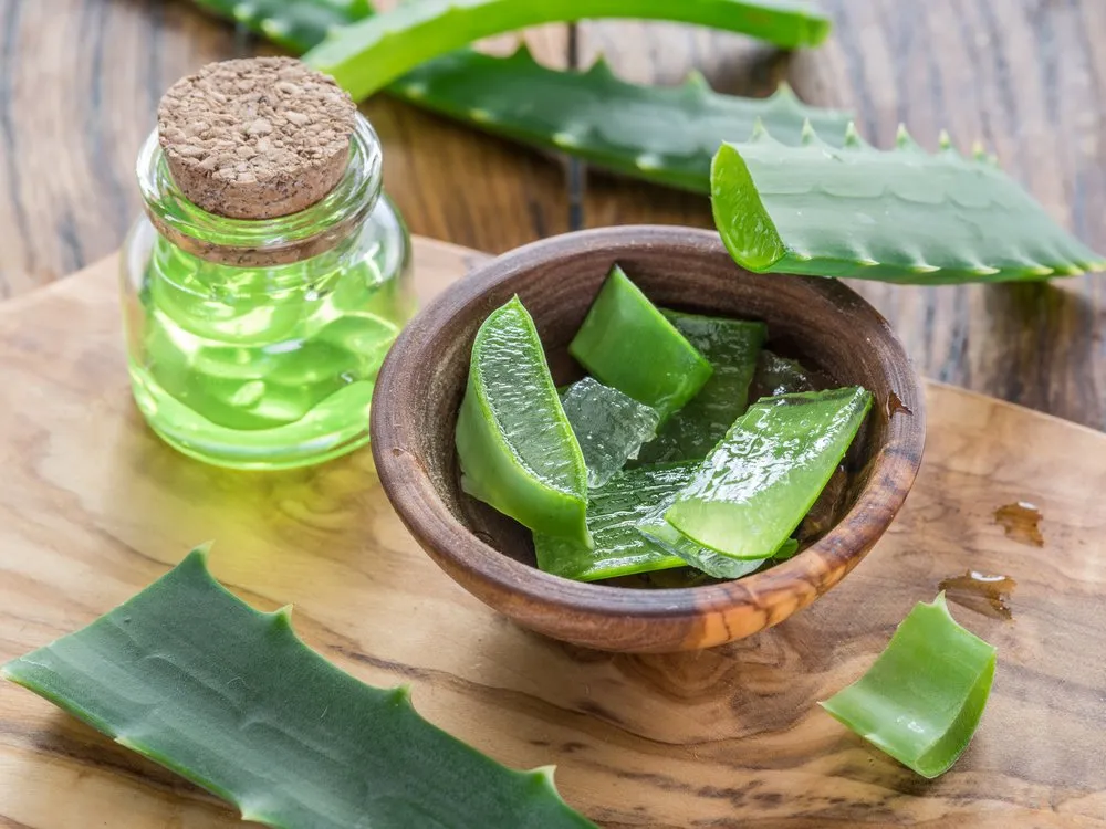Como Usar Aloe Vera para Acne