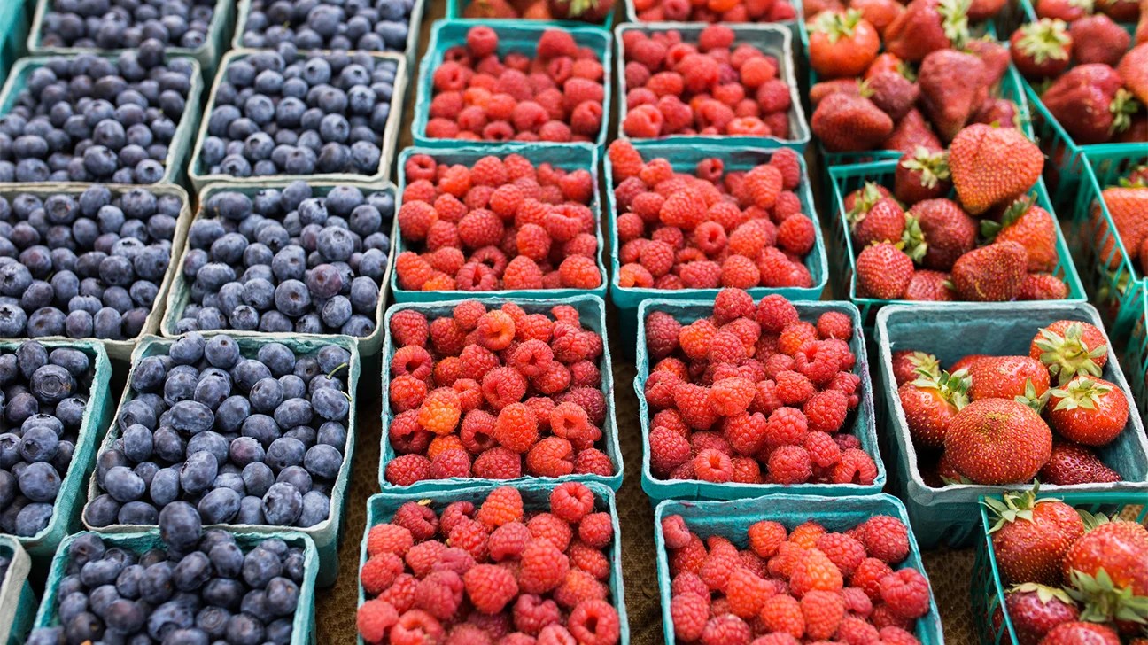 Os 13 Alimentos Mais Antiinflamatórios que Você Pode Comer