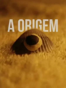 The Origin